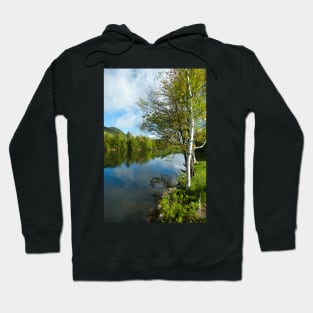 Spring Birch Woodard Reservoir, Vermont Hoodie